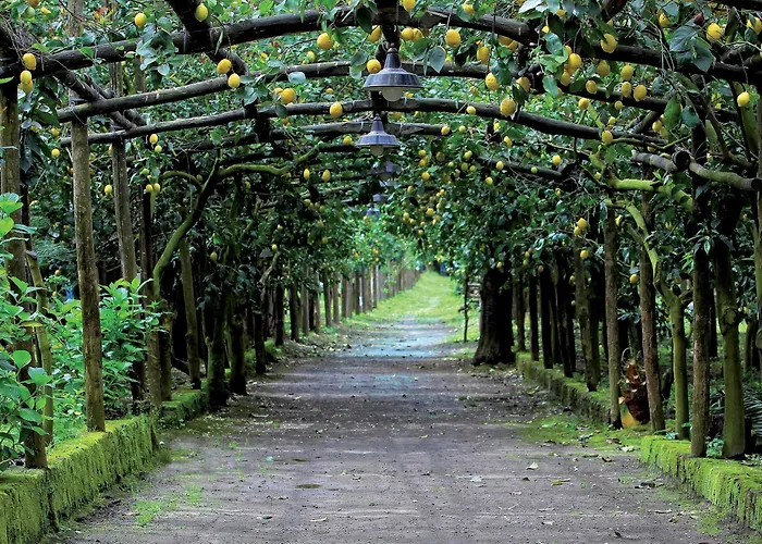 Il ConventoAgriturismo